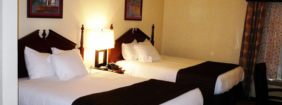 Econo Lodge Inn&Suites Dawsonville Habitación foto